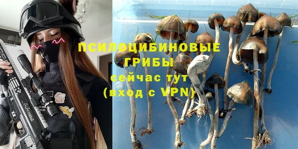 спайс Алексин