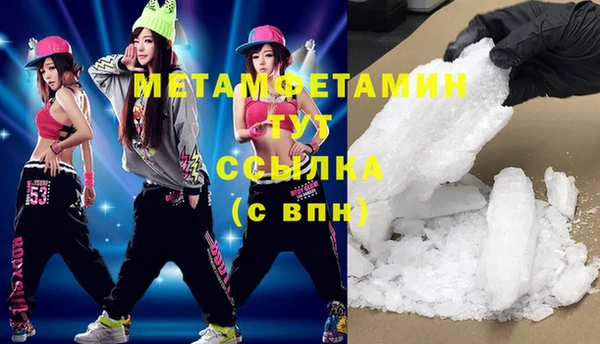 прущие грибы Аркадак
