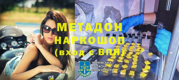 прущие грибы Аркадак