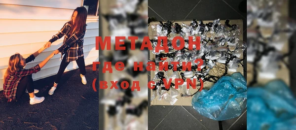 прущие грибы Аркадак