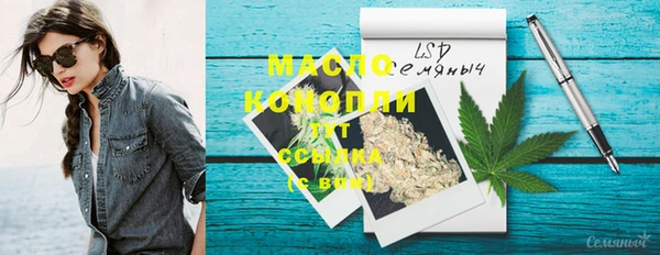 прущие грибы Аркадак