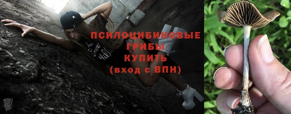 прущие грибы Аркадак