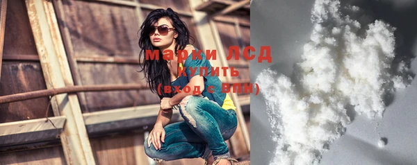 прущие грибы Аркадак