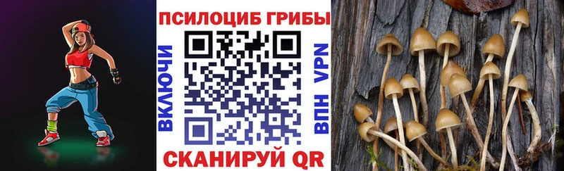 Купить закладки  Томари  Псилоцибиновые грибы Magic Shrooms 